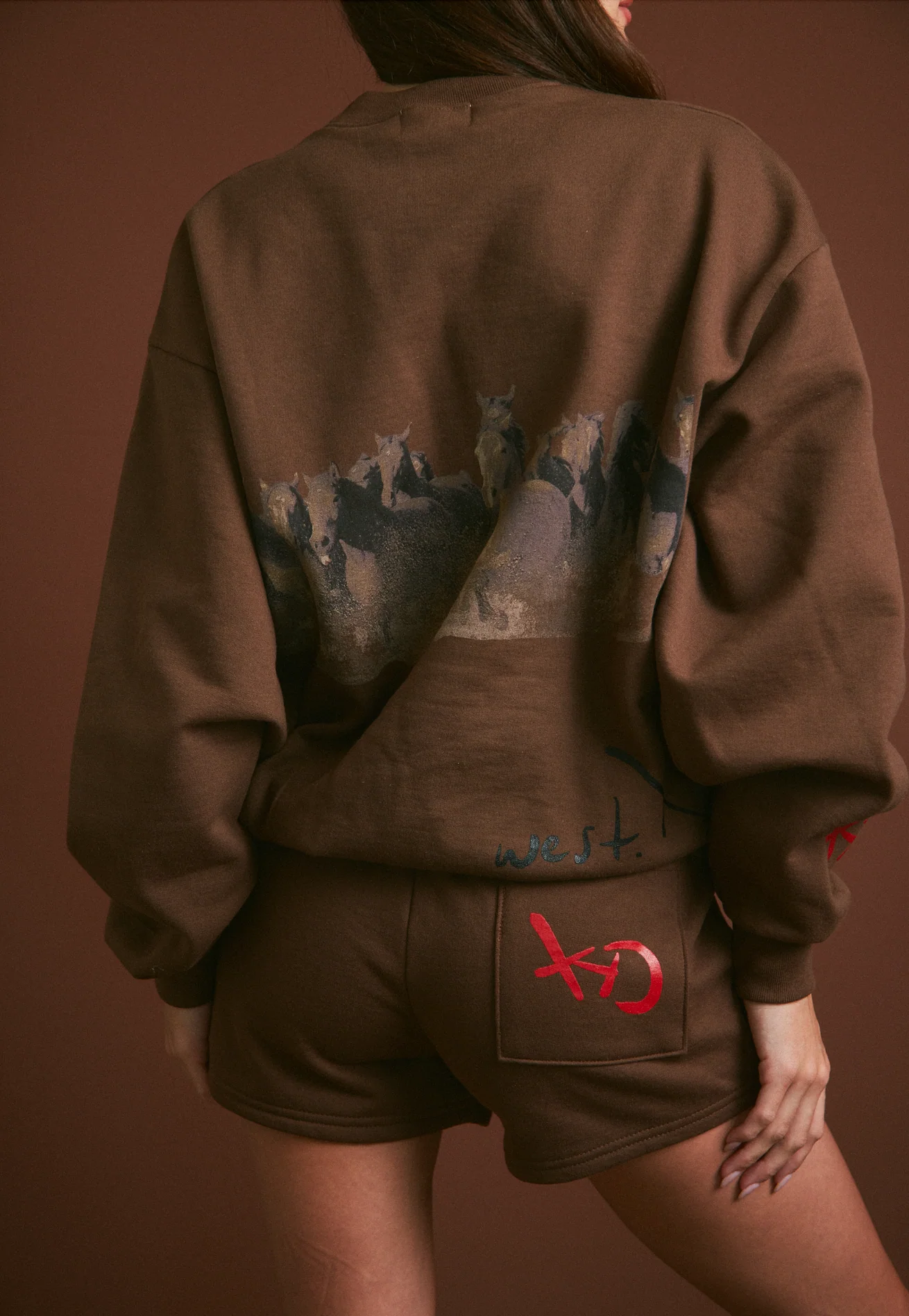 WILD HORSE Crewneck - Tobacco - Image 3