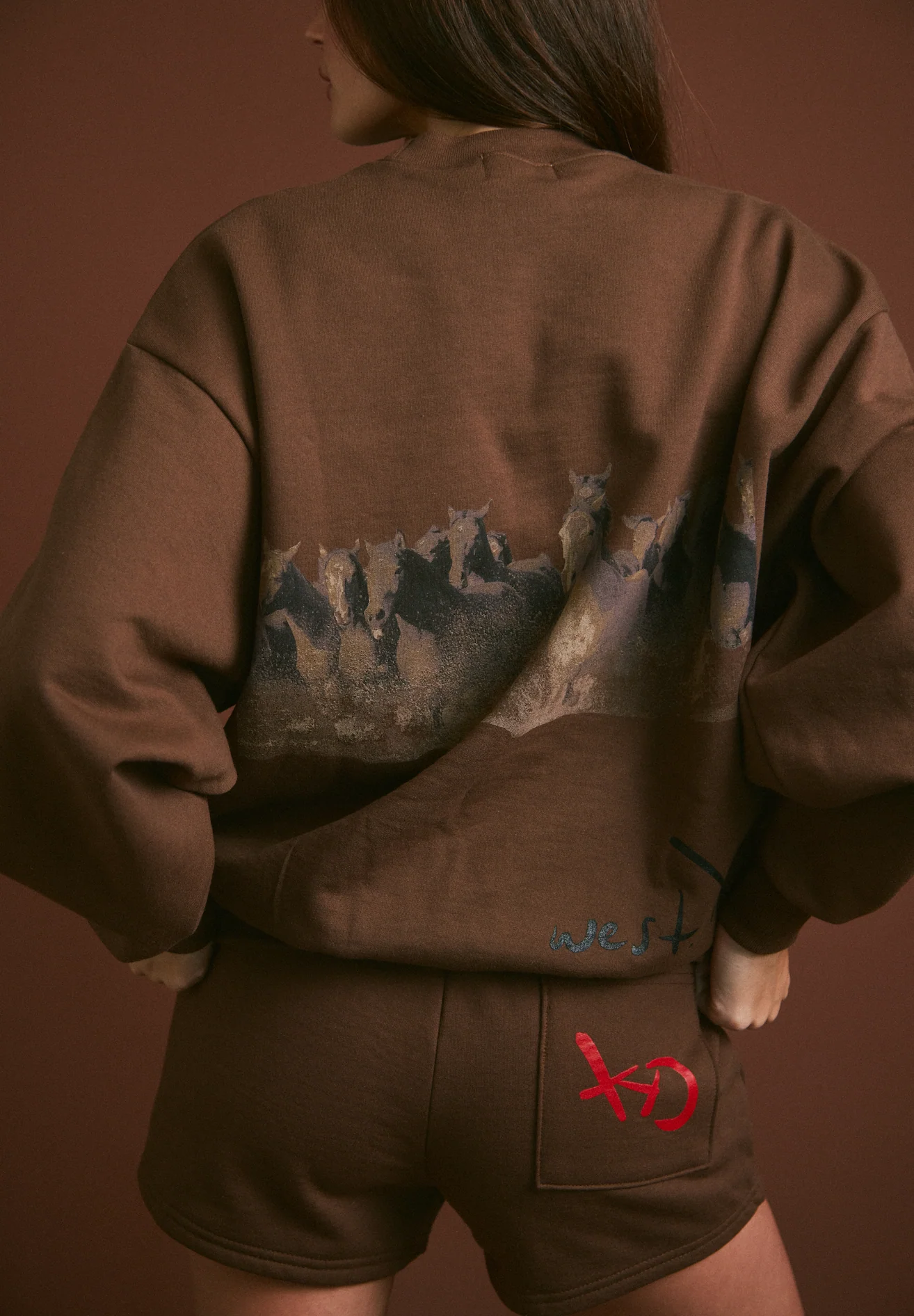 WILD HORSE Crewneck - Tobacco - Image 4