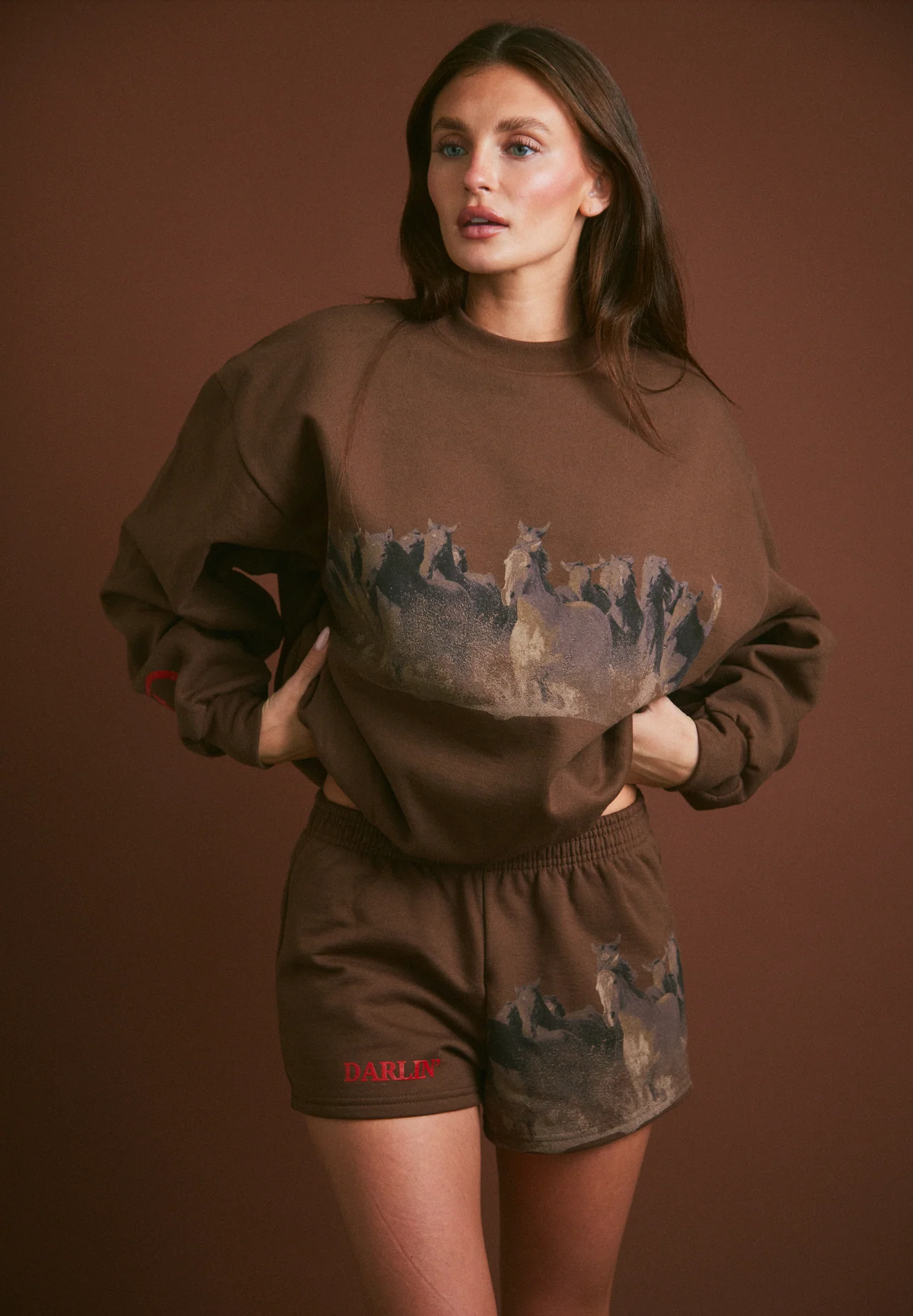 WILD HORSE Crewneck - Tobacco - Image 5