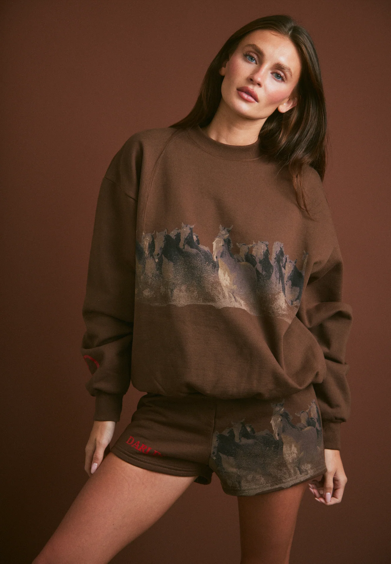 WILD HORSE Crewneck - Tobacco - Image 6