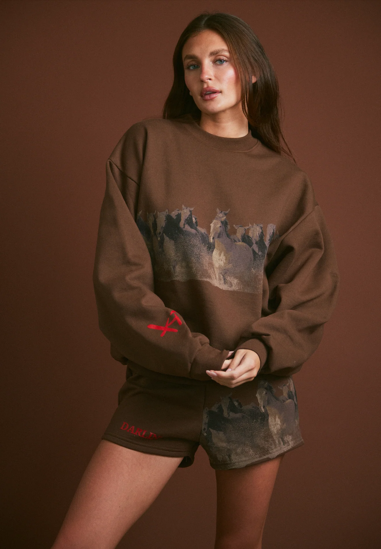 WILD HORSE Crewneck - Tobacco - Image 7