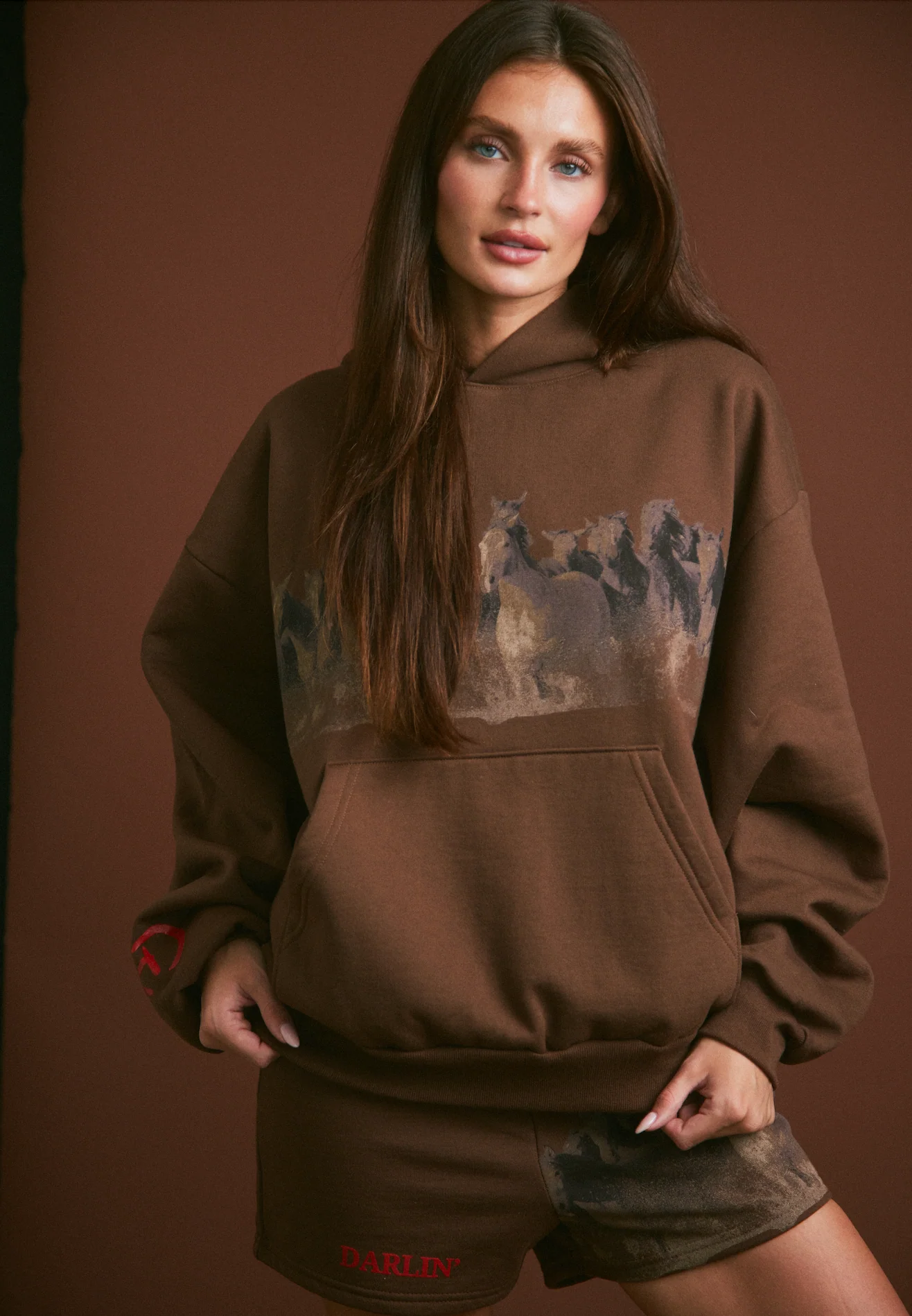 WILD HORSE Hoodie - Tobacco - Image 5