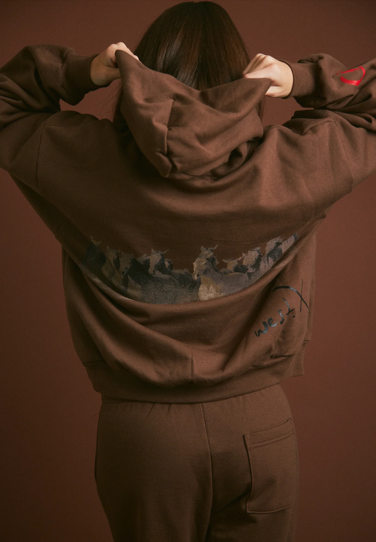 WILD HORSE Hoodie - Tobacco - Image 8